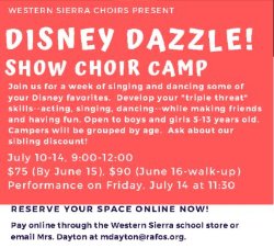 Disney Dazzle Show Choir Camp